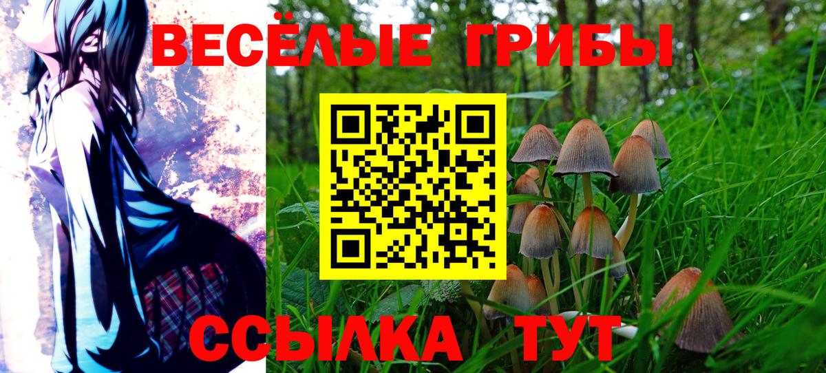 Псилоцибиновые грибы GOLDEN TEACHER  Псилоцибиновые грибы Magic Shrooms  Вход с VPN  Мыски 