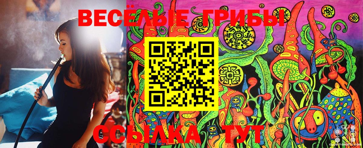 Галлюциногенные грибы GOLDEN TEACHER Мыски